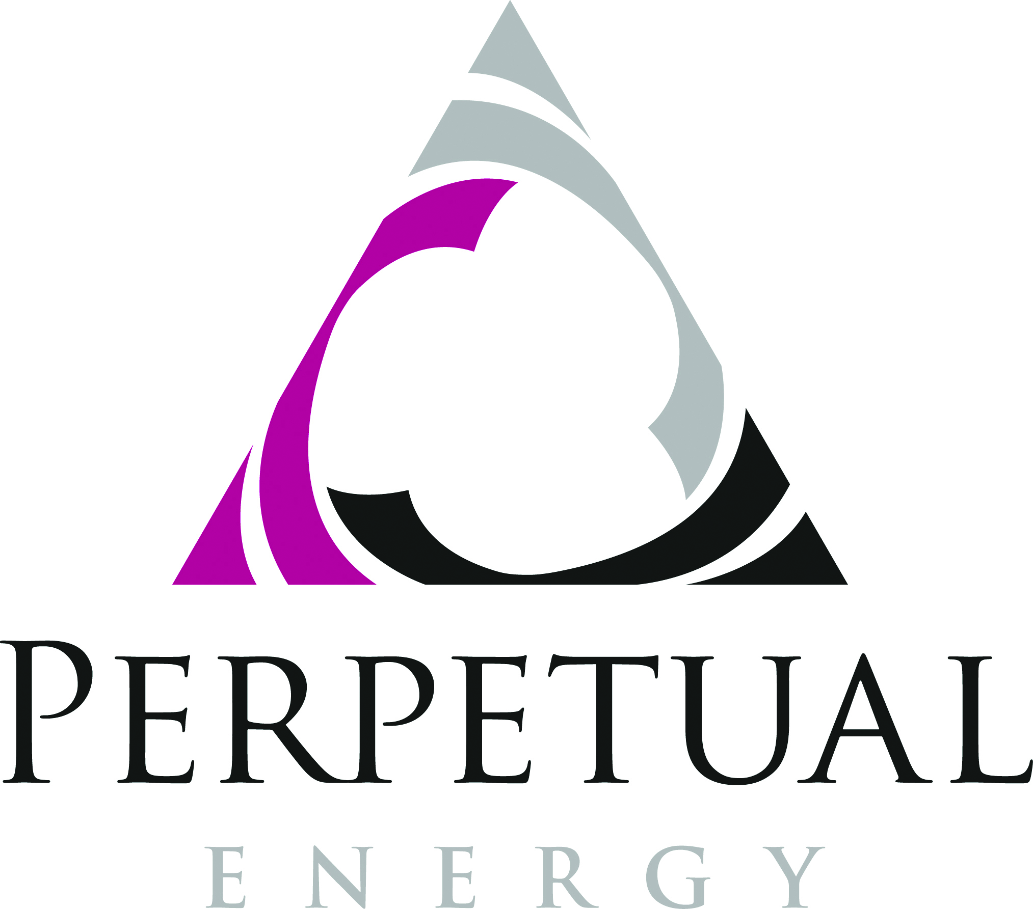 PERPETUAL Energy Logo