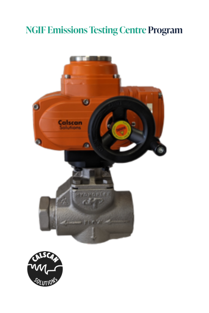 Bear Dump Valve Wellsite Performance Test – Calscan Solutions