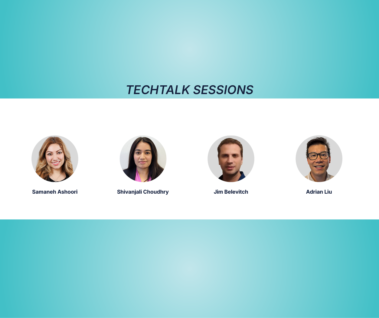TechTalk-Banner Wordpress III